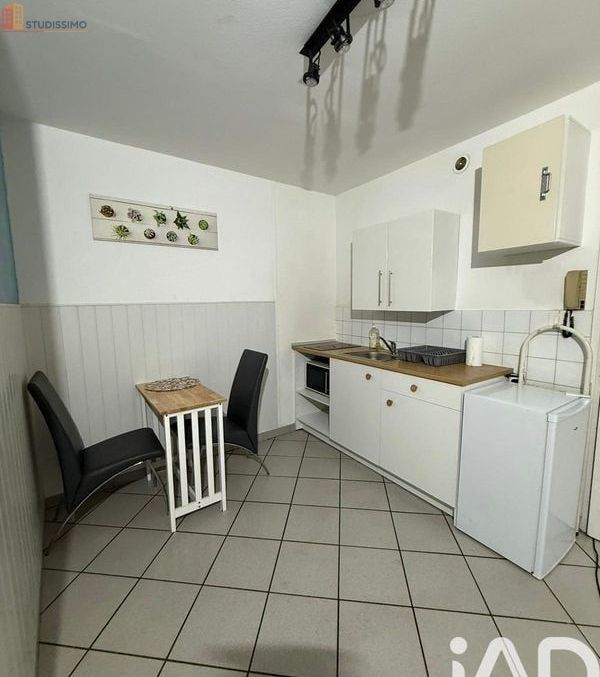 Studio 19m² Saint-Étienne 42000 - Meublé, 1 pièce - Photo 15
