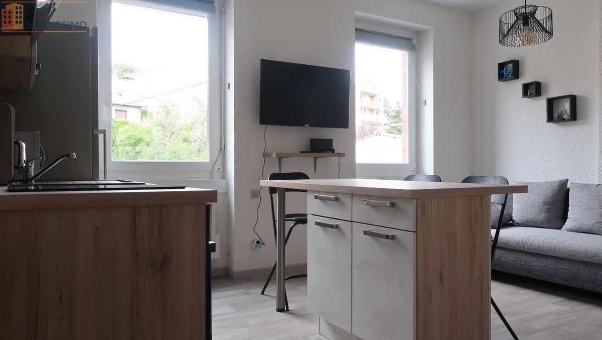 Studio 28m² Saint-Étienne 42100 - Meublé, lumineux - Photo 29