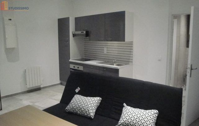 Studio meublé 25m² Saint-Étienne - Meublé, bonne isolation D - Photo 6