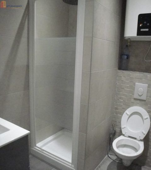 Studio meublé 25m² Saint-Étienne - Meublé, bonne isolation D - Photo 3