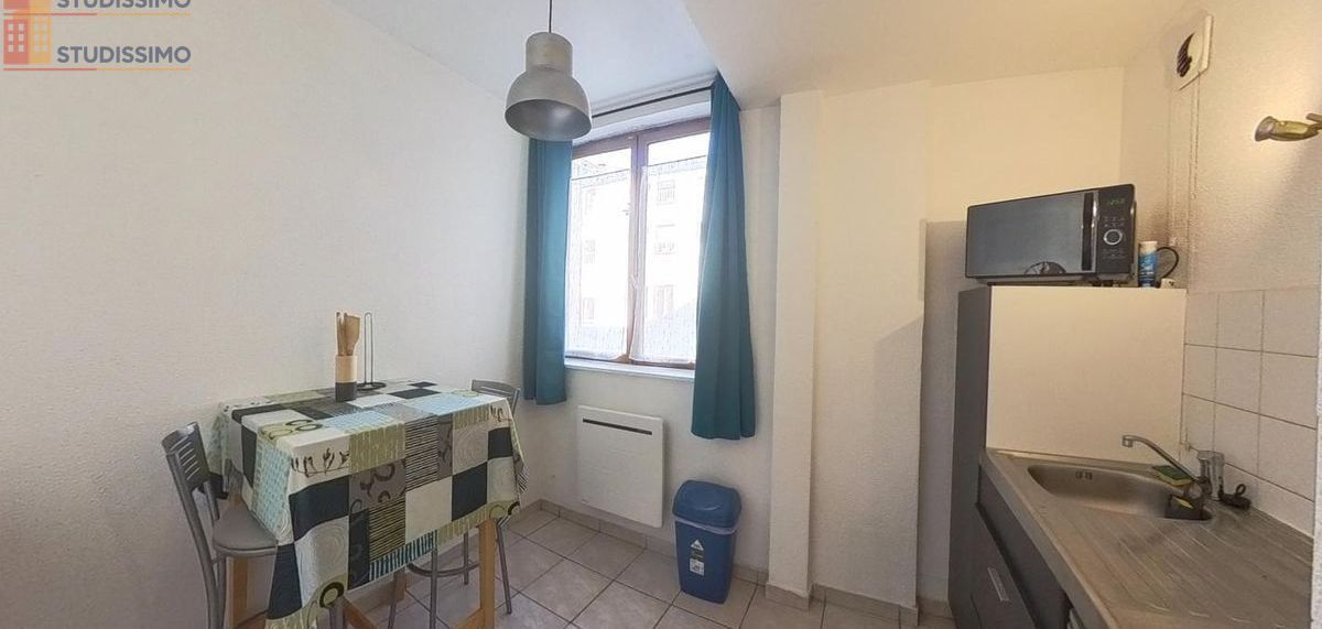 Studio 25m² Saint-Étienne 42000 - Meublé, DPE D - Photo 17