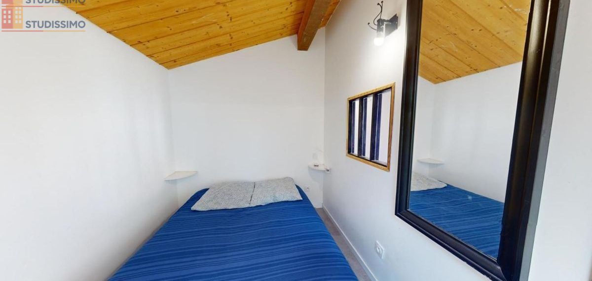 Studio meublé 35m² Saint-Étienne 42000 - Meublé, DPE C - Photo 29
