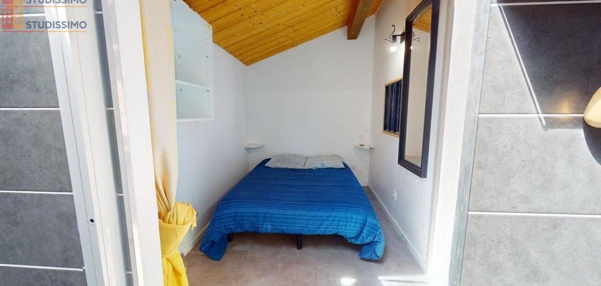 Studio meublé 35m² Saint-Étienne 42000 - Meublé, DPE C - Photo 27