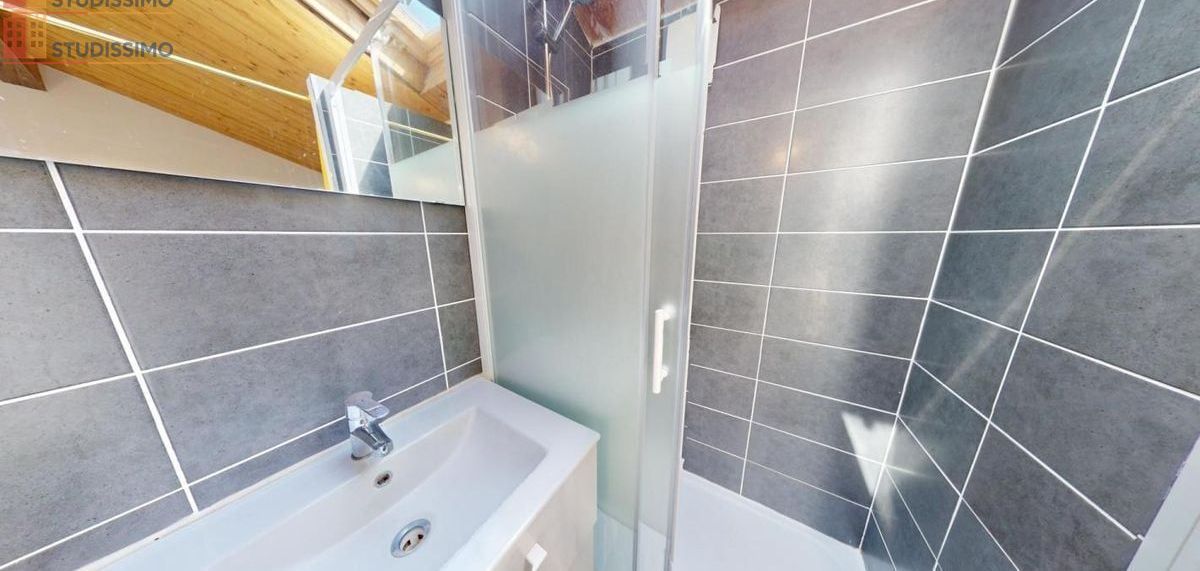 Studio meublé 35m² Saint-Étienne 42000 - Meublé, DPE C - Photo 13