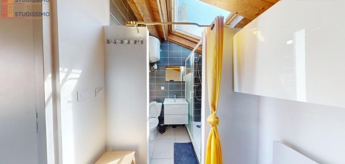 Studio meublé 35m² Saint-Étienne 42000 - Meublé, DPE C - Photo 14