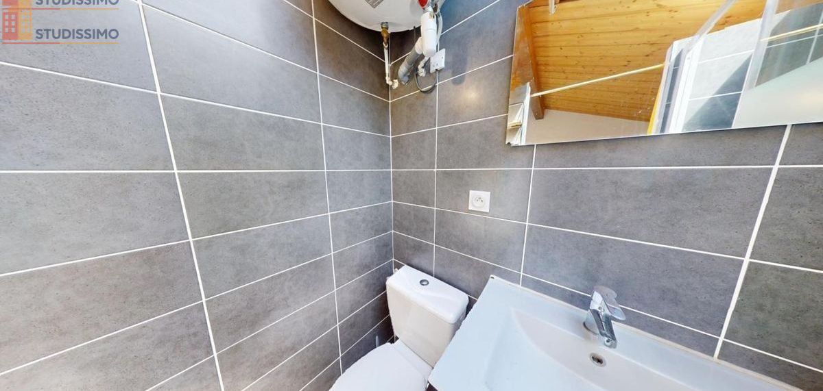 Studio meublé 35m² Saint-Étienne 42000 - Meublé, DPE C - Photo 4