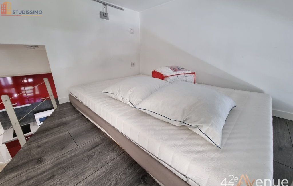 Studio meublé 23m² Saint-Étienne 42000 - Meublé, 1 pièce - Photo 26