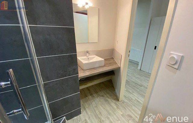Studio meublé 23m² Saint-Étienne 42000 - Meublé, 1 pièce - Photo 4