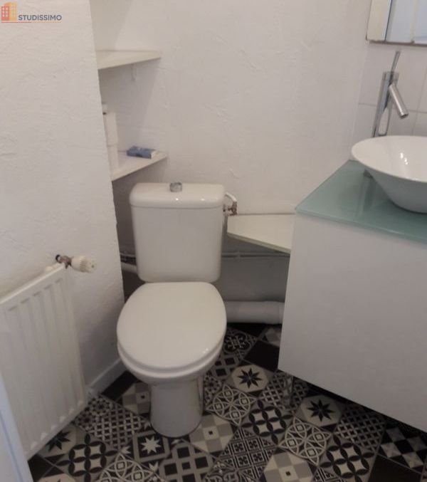 Studio meublé 32m² Saint-Étienne 42000 - Centre, lumineux - Photo 15