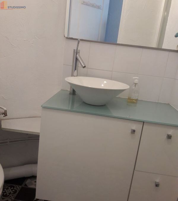 Studio meublé 32m² Saint-Étienne 42000 - Centre, lumineux - Photo 11