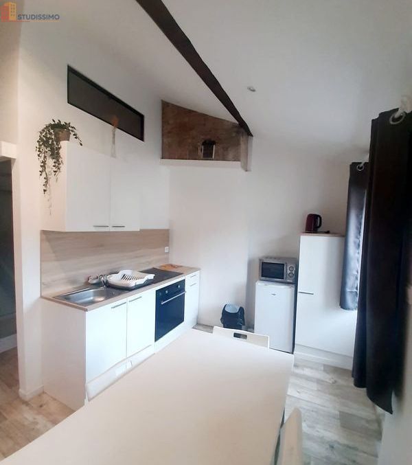 Studio meublé 25m² Saint-Étienne 42100 - Lumineux - Photo 5