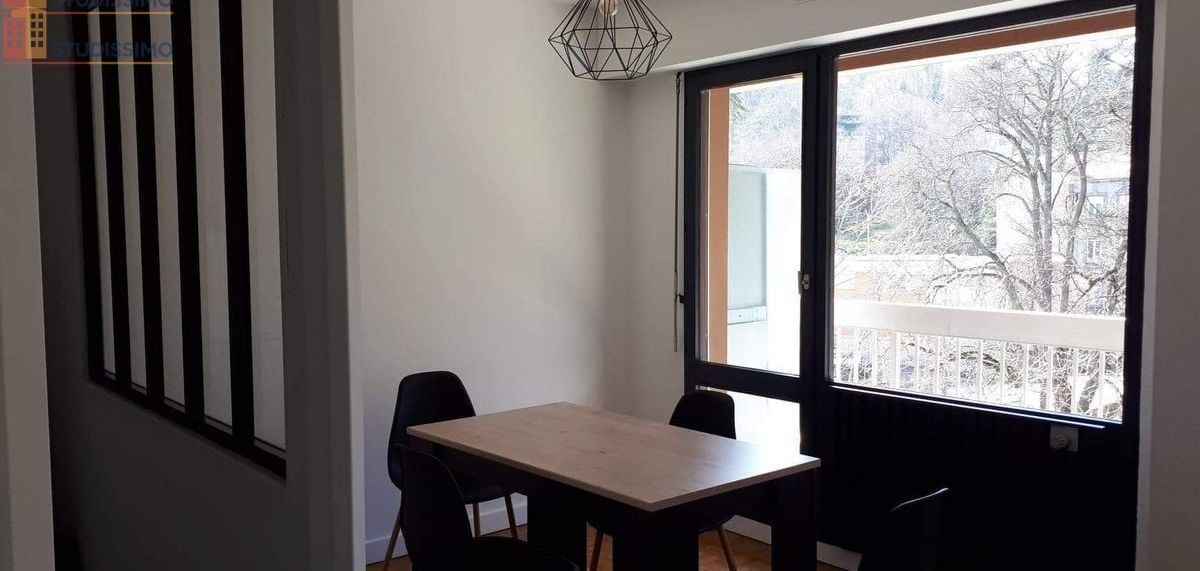 Studio 33m² Saint-Étienne 42000 - Meublé, bon état - Photo 7