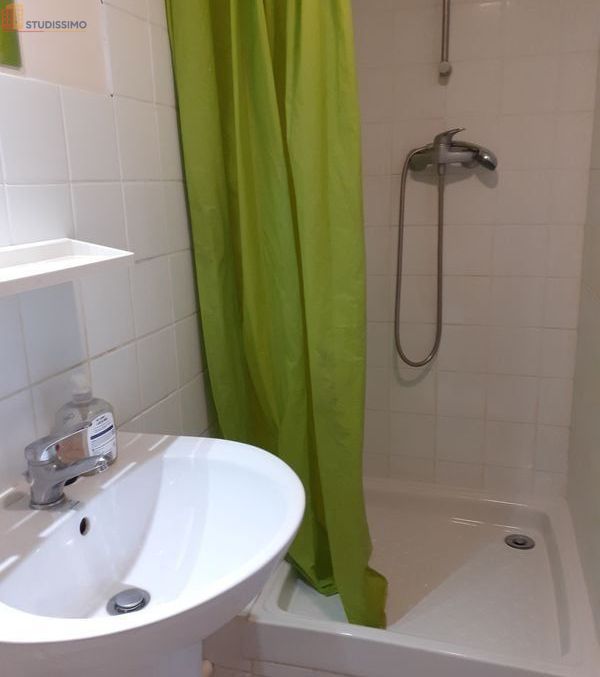 Studio 21m² Saint-Étienne 42100 - Meublé, lumineux - Photo 3