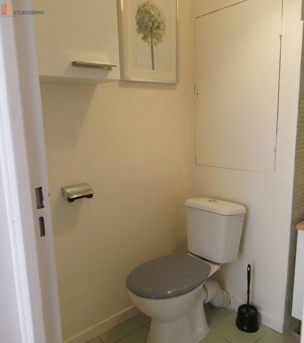 Studio 35m² Saint-Étienne 42100 - Meublé, DPE D - Photo 7