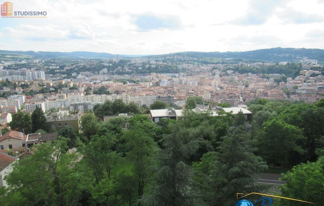 Studio 35m² Saint-Étienne 42100 - Meublé, DPE D - Photo 2