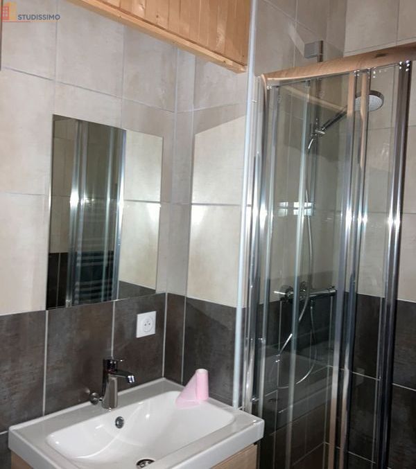 Studio 20m² Saint-Étienne 42100 - Meublé, 1er étage - Photo 8