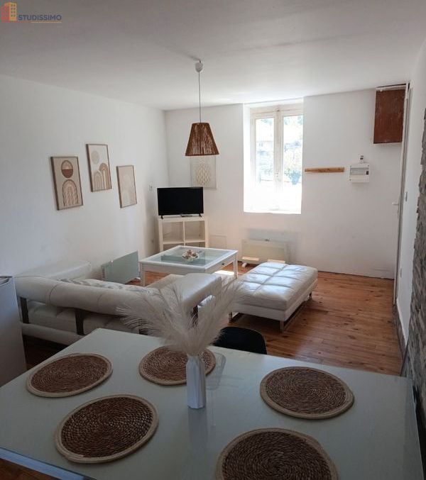 Studio meublé 65m² Rive-de-Gier - Lumineux, dernier étage - Photo 20