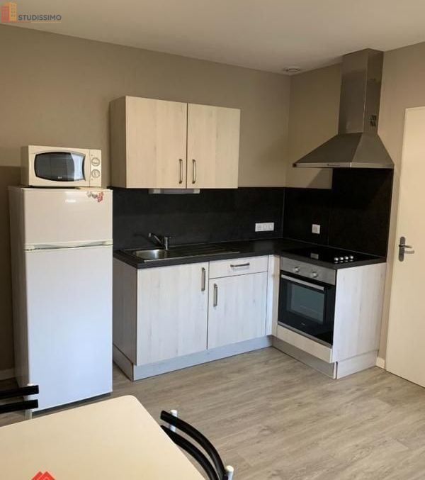 Studio meublé 18m² Roanne 42300 - Meublé, DPE D - Photo 8