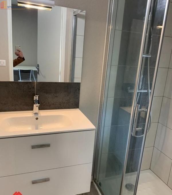 Studio meublé 18m² Roanne 42300 - Meublé, DPE D - Photo 4