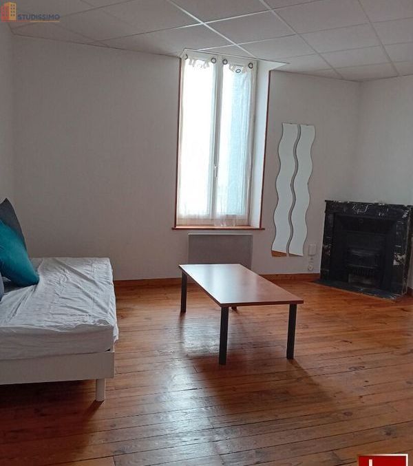 Studio 25m² Roanne 42300 - 2e étage, lumineux - Photo 4