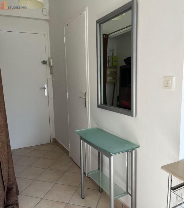Studio meublé 25m² Saint-Étienne 42000 - Meublé, 1er étage - Photo 29