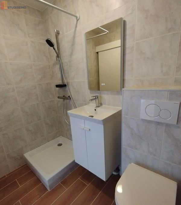 Studio 30m² Saint-Étienne 42100 - Lumineux - Photo 7
