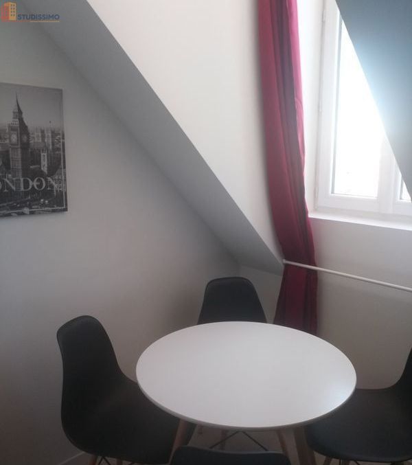 Studio meublé 18m² Roanne 42300 - Centre, lumineux - Photo 11