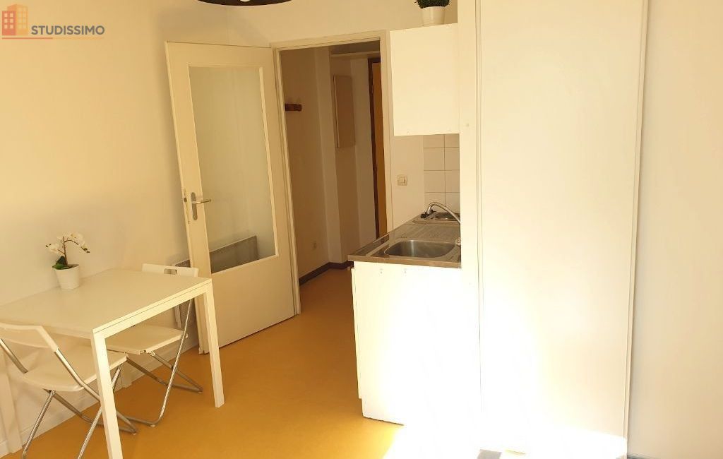 Studio 19m² Saint-Étienne 42100 - Meublé, proche fac Tréfilerie - Photo 5