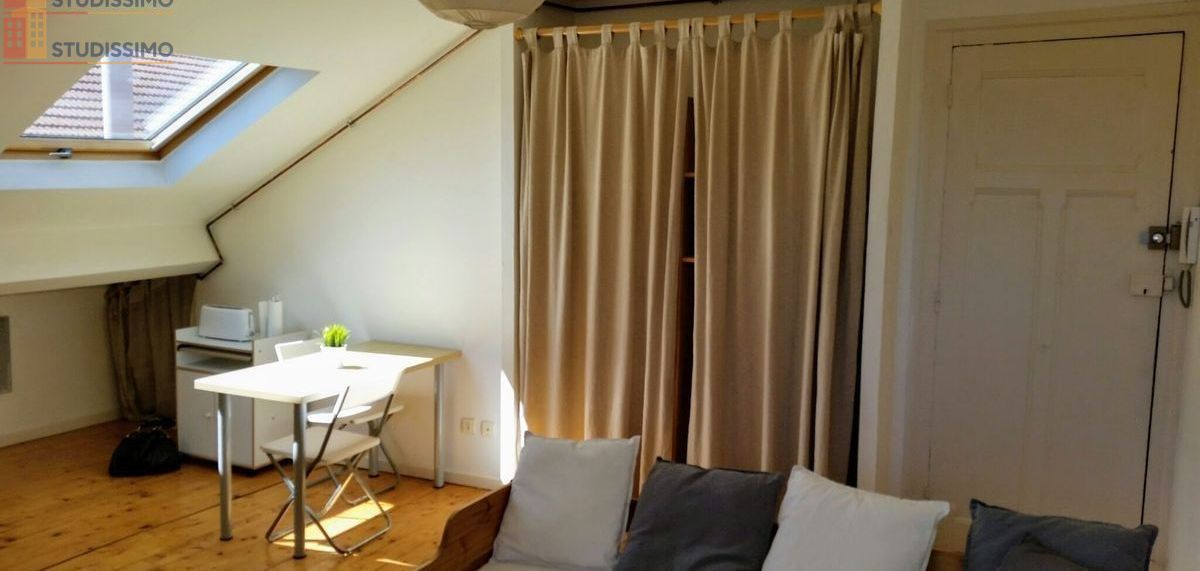 Studio meublé 25m² Saint-Étienne 42000 - Hyper centre, proche tram - Photo 25