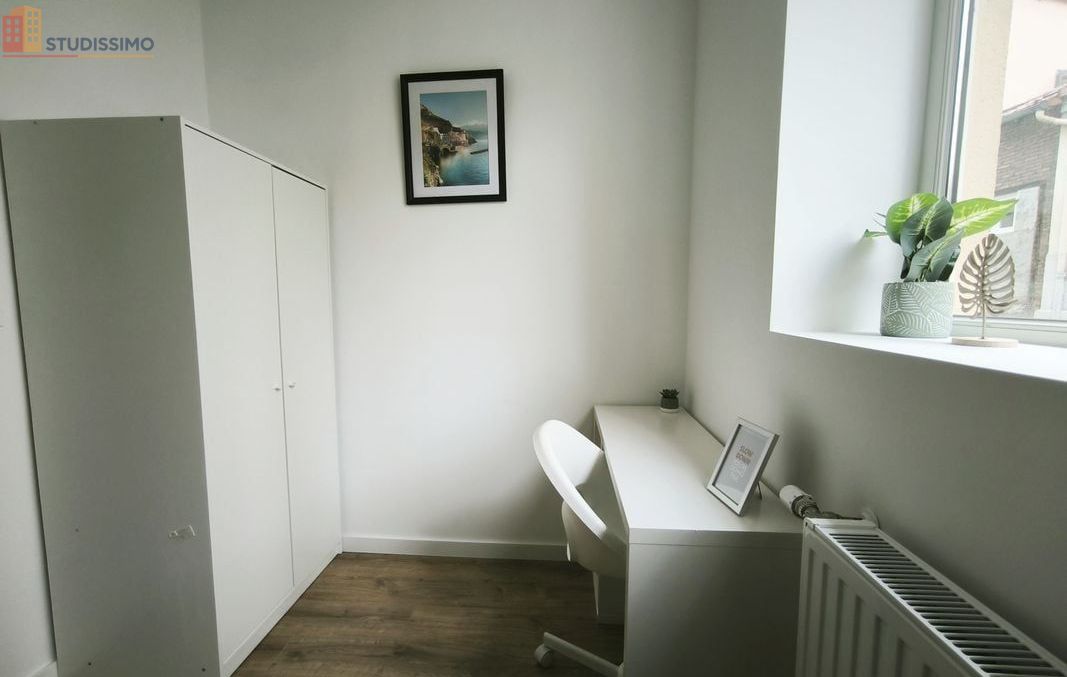 Studio meublé 17m² Saint-Étienne - Meublé, 1 pièce - Photo 19