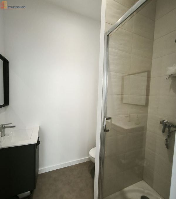 Studio meublé 17m² Saint-Étienne - Meublé, 1 pièce - Photo 21