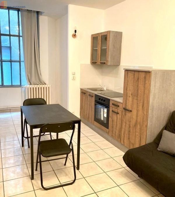 Studio 25m² Saint-Étienne 42000 - Meublé, chauffage compris - Photo 15