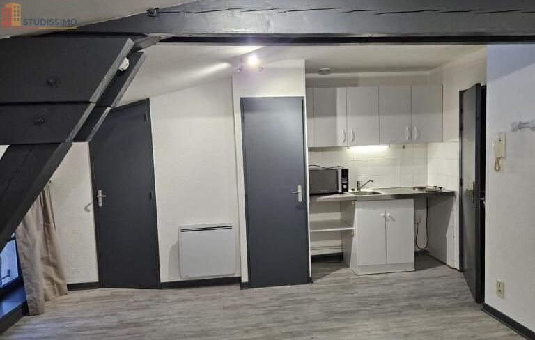 Studio 32m² Montbrison - Centre-ville - Photo 19