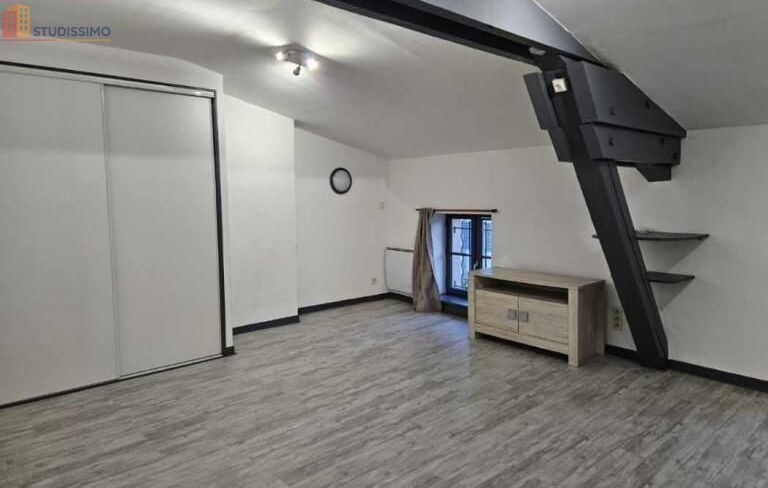 Studio 32m² Montbrison - Centre-ville - Photo 12
