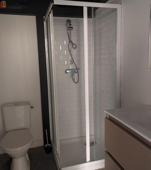Studio 26m² Saint-Étienne - Lumineux, DPE D - Photo 13