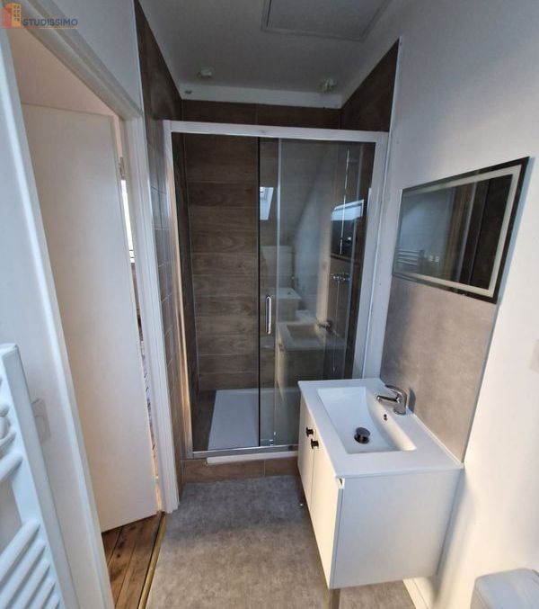 Studio 26m² Saint-Étienne 42000 - Meublé, lumineux - Photo 8