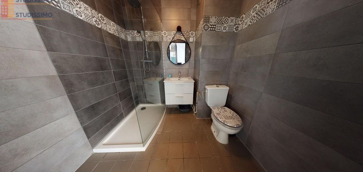 Studio meublé 35m² Saint-Étienne 42100 - Meublé, DPE C - Photo 3