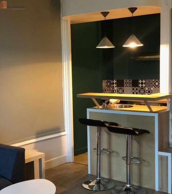 Studio 35m² Saint-Étienne 42100 - Meublé, tout équipé - Photo 13