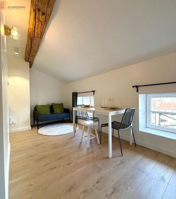Studio meublé 24m² Saint-Étienne centre - Refait à neuf, idéal étudiant - Photo 4