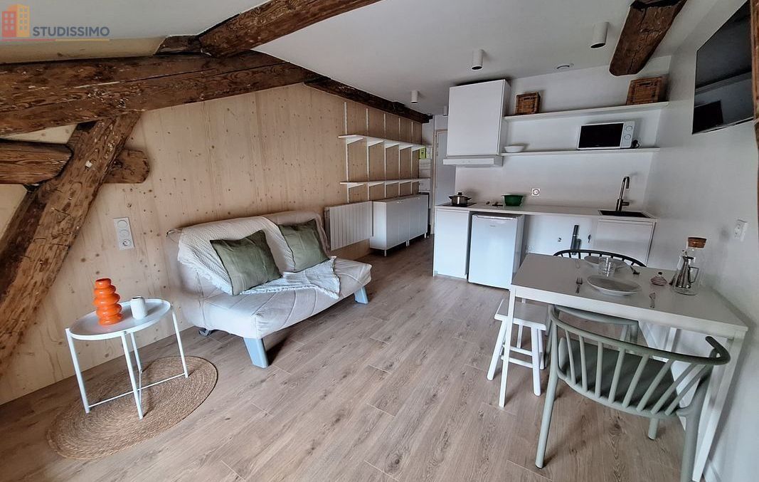 Studio 20m² Saint-Étienne 42000 - Meublé, entièrement rénové - Photo 28