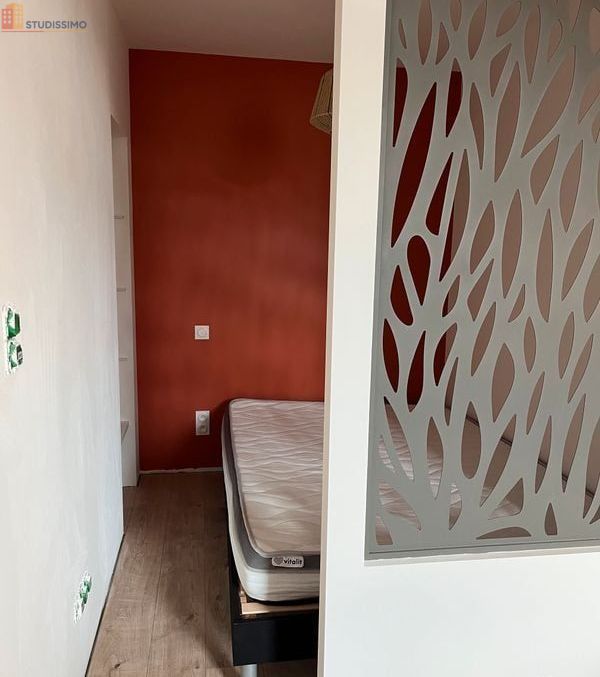 Studio meublé 25m² Roanne - Meublé, dpe B - Photo 1