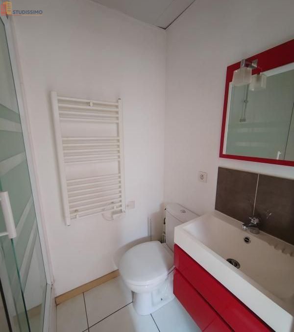 Studio 13m² Saint-Étienne 42100 - Photo 8