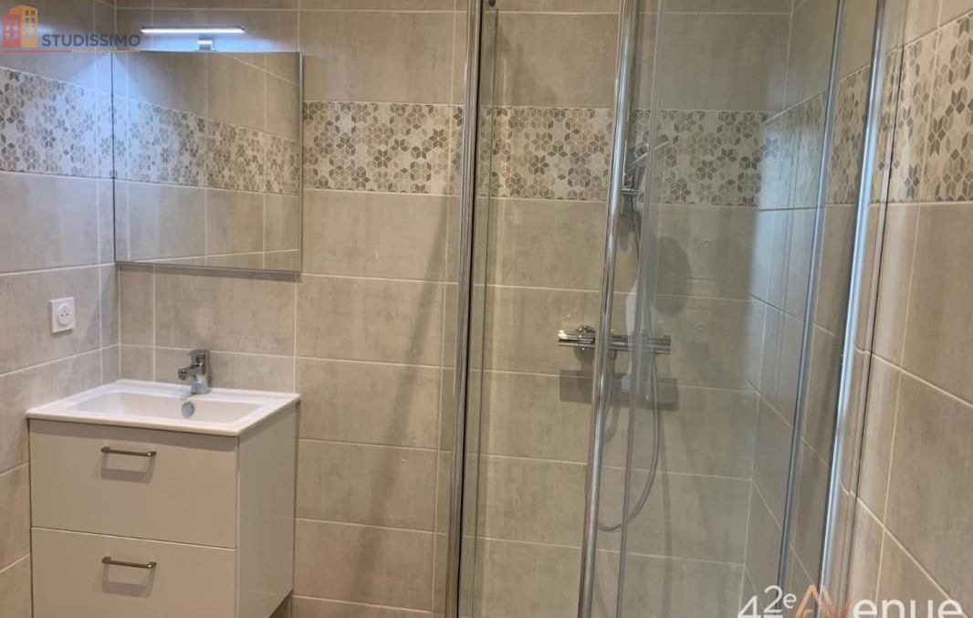 Studio meublé 25m² Saint-Étienne centre - Lumineux - Photo 2