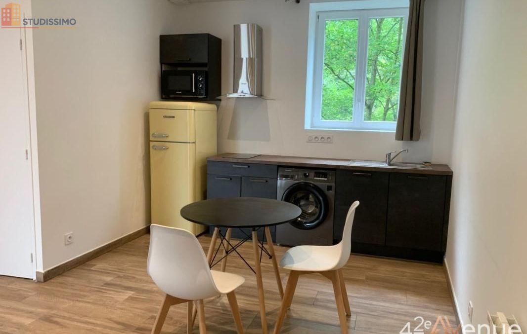 Studio meublé 25m² Saint-Étienne centre - Lumineux - Photo 4