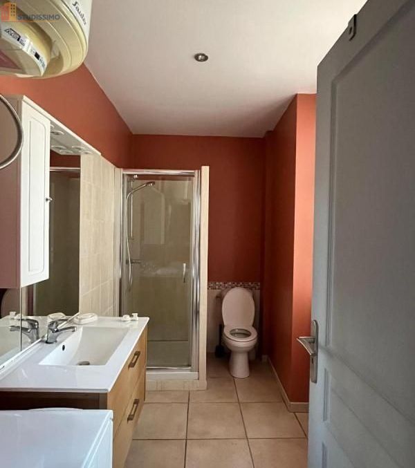 Studio meublé 21m² Saint-Étienne - Lumineux - Photo 15