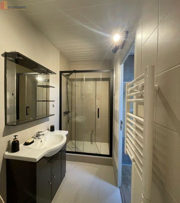 Studio 26m² Saint-Étienne 42100 - Entièrement rénové, meublé - Photo 1