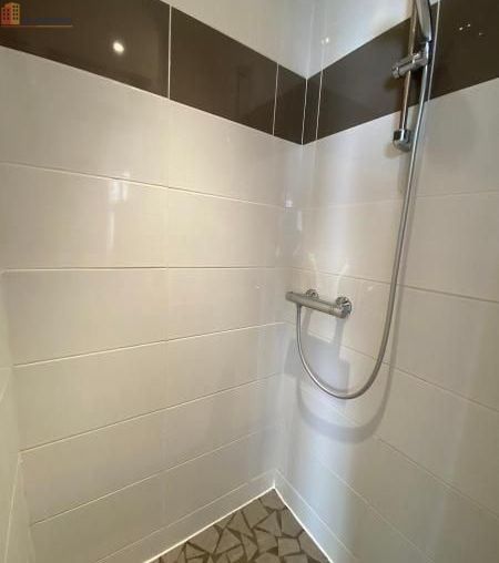 Studio 19m² Saint-Étienne 42000 - Photo 3