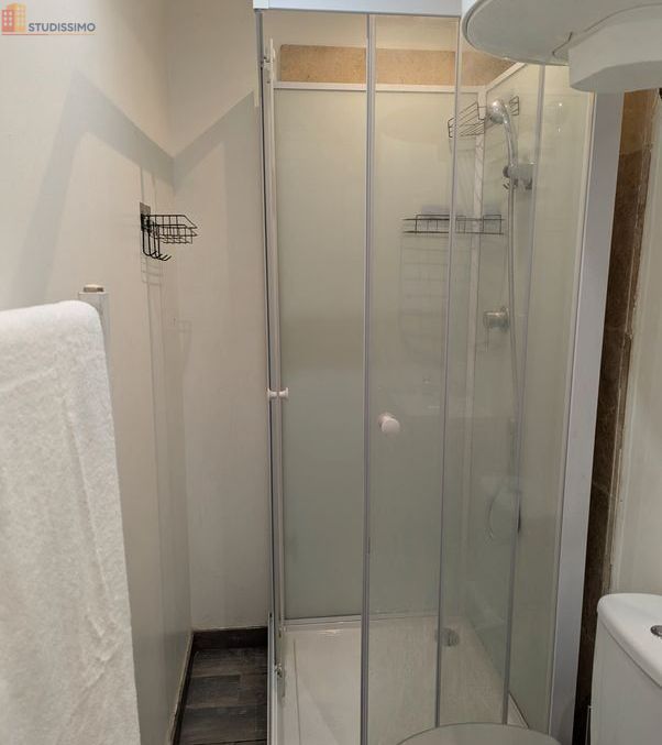 Studio meublé 16m² Roanne - Meublé, DPE D - Photo 8