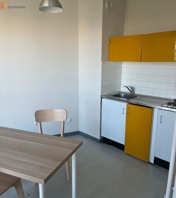 Studio 32m² Saint-Étienne 42100 - Grand, étage élevé - Photo 28