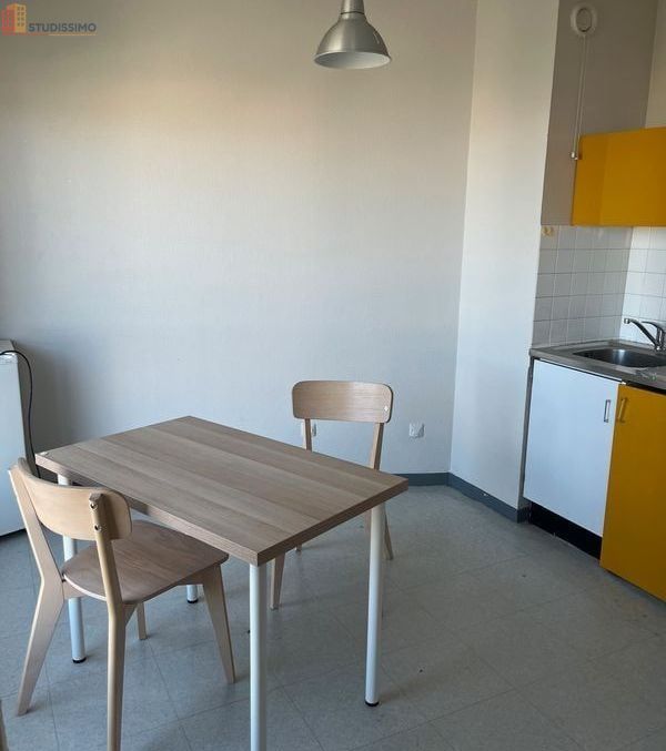 Studio 32m² Saint-Étienne 42100 - Grand, étage élevé - Photo 14